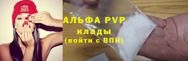 СК Абинск