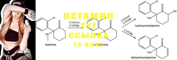 трава Абдулино